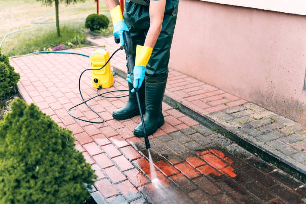 Animal Enclosure Cleaning in Norfolk, NE